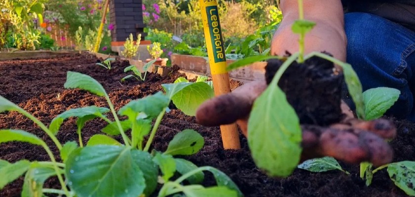 Nos conseils afin de préparer son jardin pour le printemps