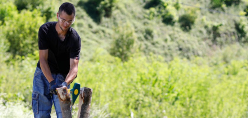 Réussir sa coupe de bois en toute sécurité