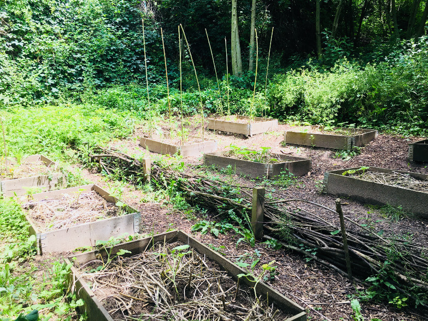 Jardins partagés, comment ça marche ?