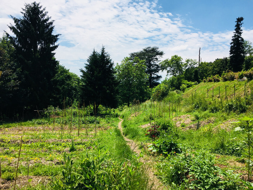 Jardins partagés, comment ça marche ?