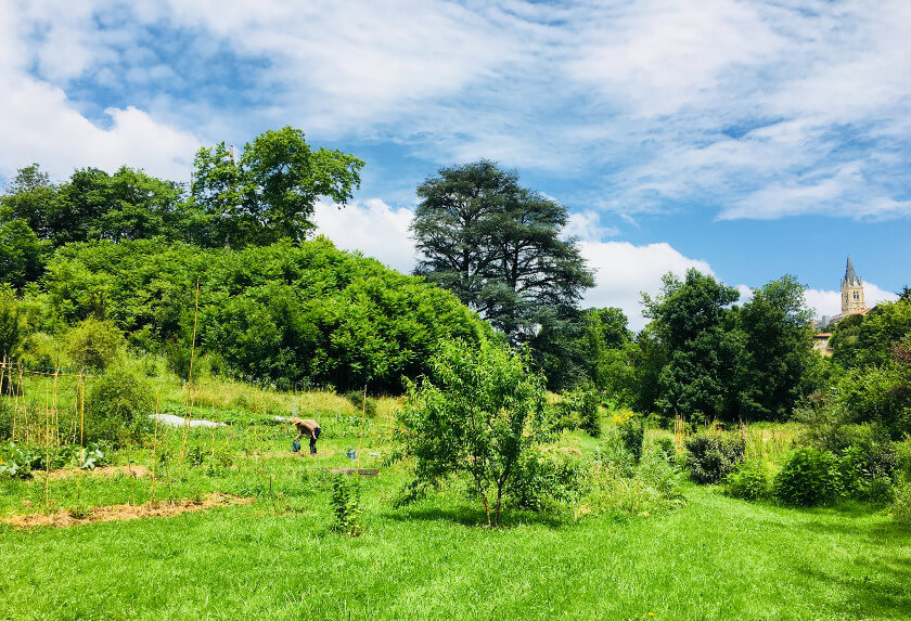 Jardins partagés, comment ça marche ?