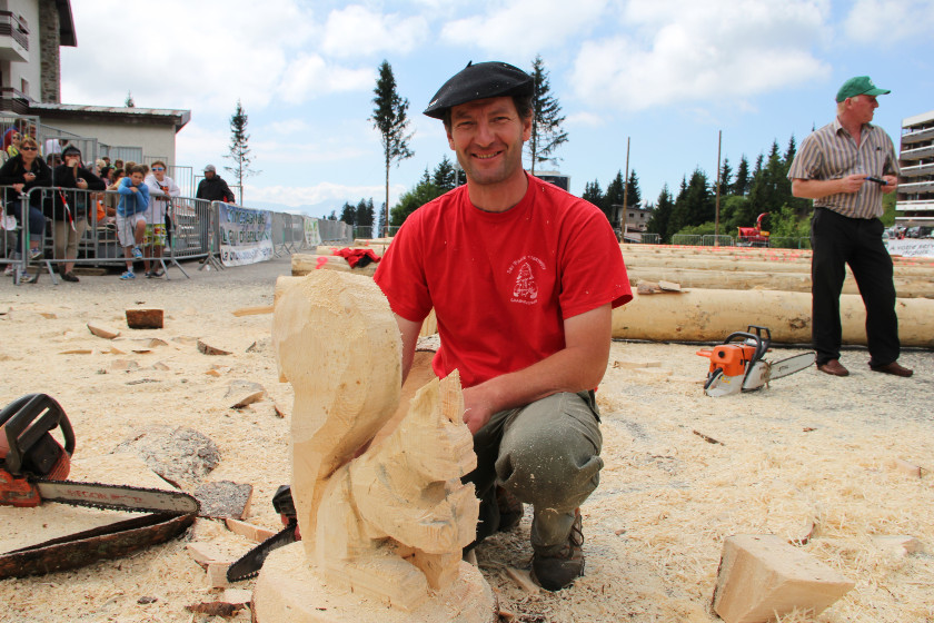 Tout savoir avant de se lancer dans la coupe du bois !