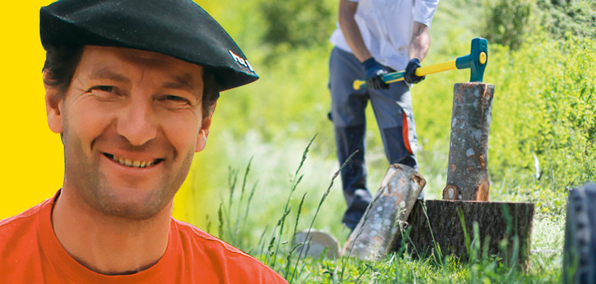 Tout savoir avant de se lancer dans la coupe du bois !