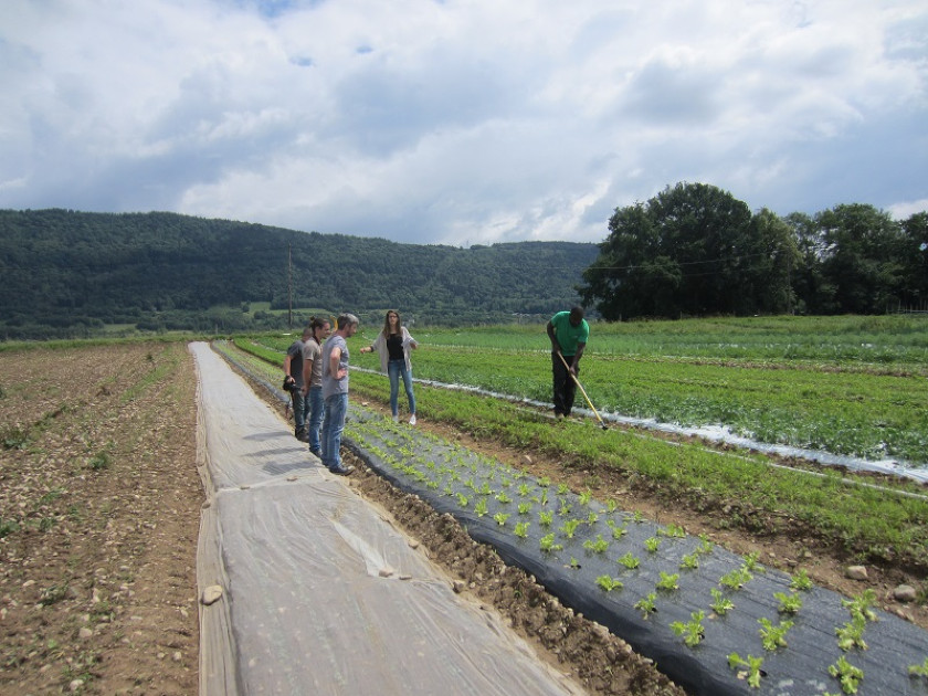 Zéro phyto pour les particuliers : que dit la loi ? Comment jardiner sans pesticide ?