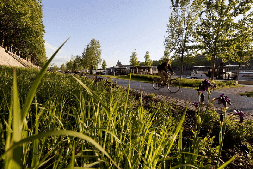 Zéro phyto pour les particuliers : que dit la loi ? Comment jardiner sans pesticide ?