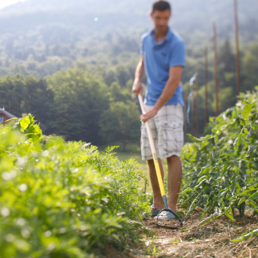 Massifs de fleurs et espaces verts, ils s’entretiennent toute l’année ! Mais comment ?