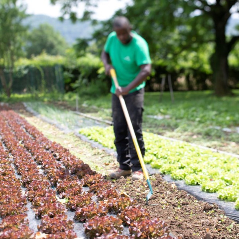 Jardin : zoom sur les nouveautés 2019 !