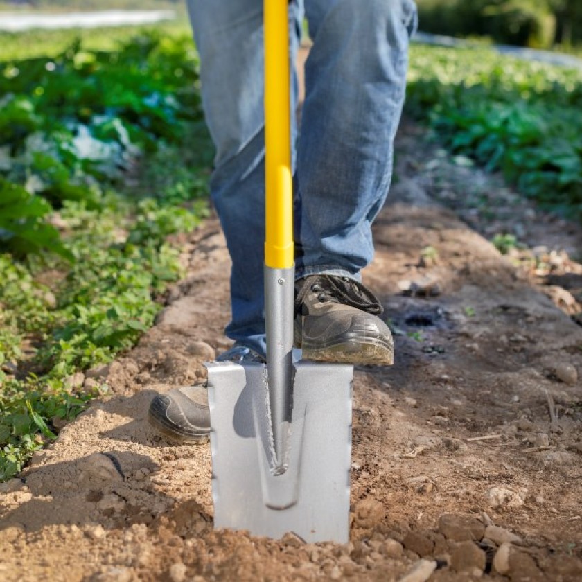 Jardin : zoom sur les nouveautés 2019 !