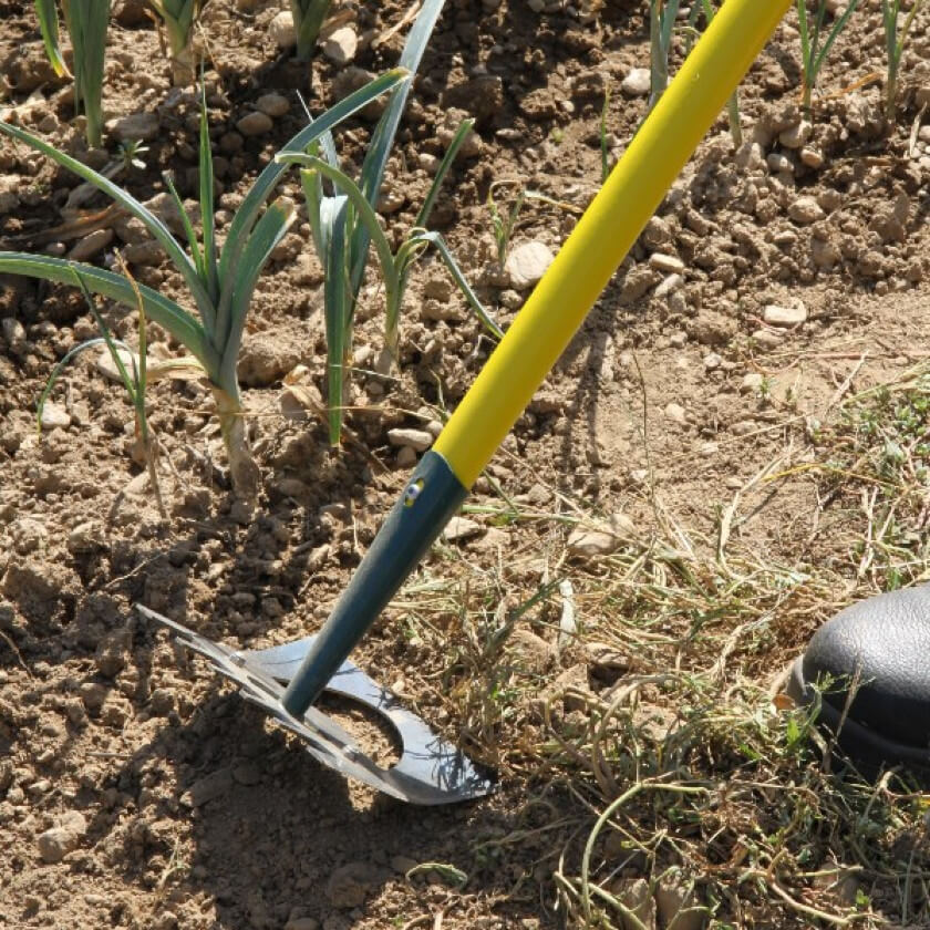 Un dicton tous les mois, un jardin prêt à l’emploi !