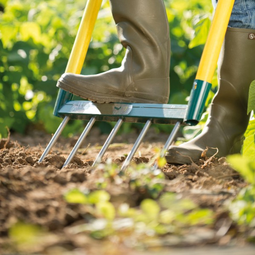 Un dicton tous les mois, un jardin prêt à l’emploi !