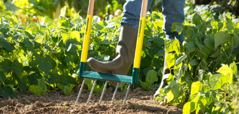 Un dicton tous les mois, un jardin prêt à l’emploi !