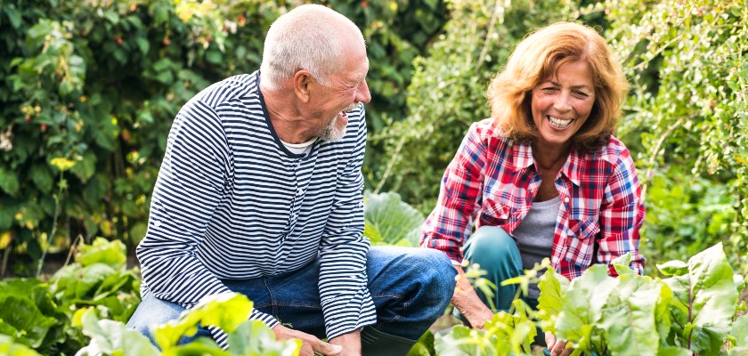 Comment éradiquer les mauvaises postures de votre jardin ? Découvrez les bonnes pratiques !