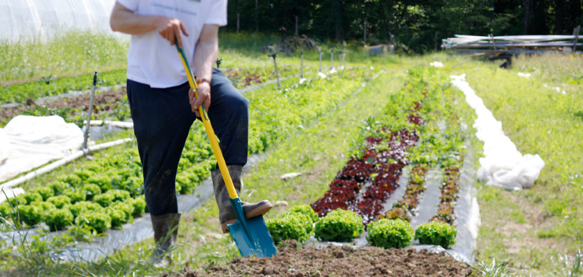 Comment préparer votre jardin potager pour le printemps malgré le confinement ?