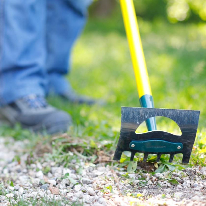 6 conseils pour préserver son jardin de la sécheresse