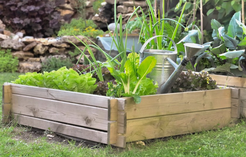 Leborgne propose de nombreux outils pour jardiner sur de petites surfaces comme un carré de potager