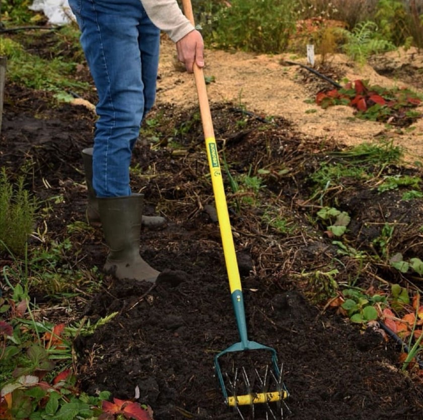 Le Potager Bordelais : histoire d’un jardinier amateur devenu une référence sur les réseaux sociaux