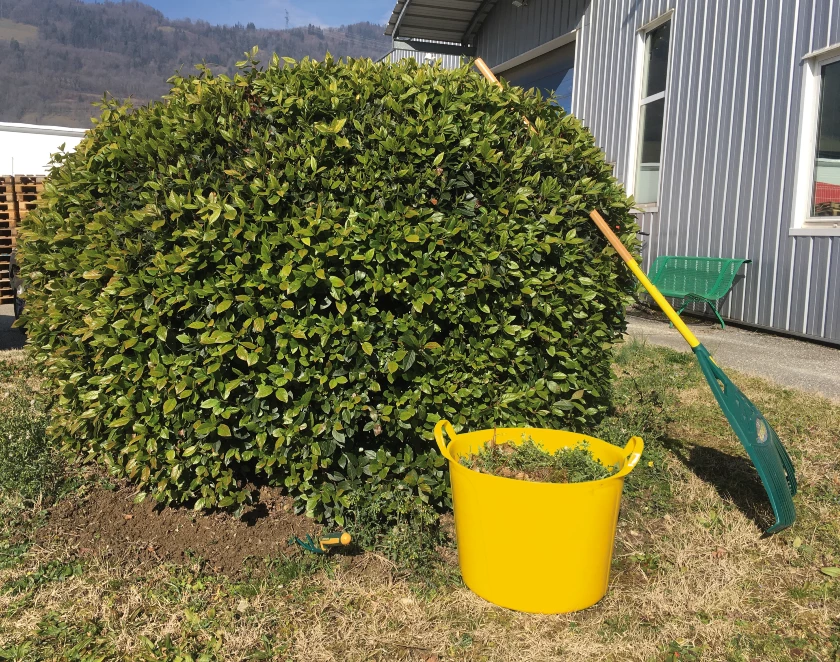 Nouveauté jardin : notre panier pratique et polyvalent pour vous accompagner tout au long de la saison