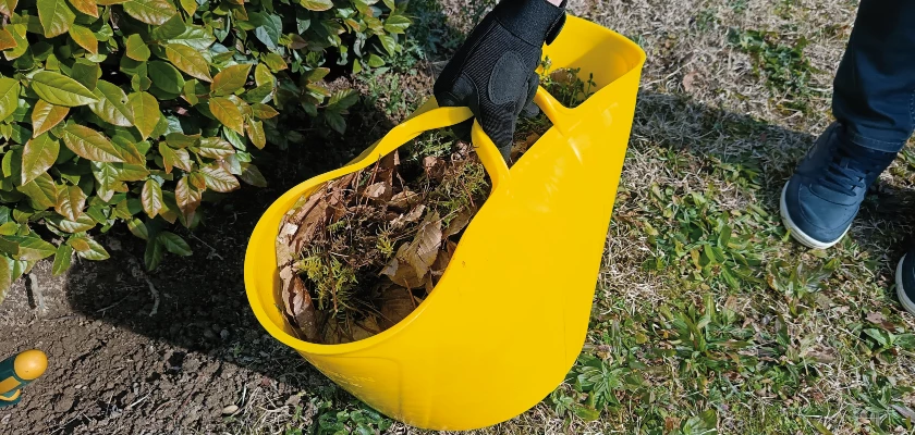 Nouveauté : notre panier de jardin