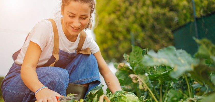 Les 6 conseils pour jardiner sur de petites surfaces : carrés de potager, plates-bandes, jardinières