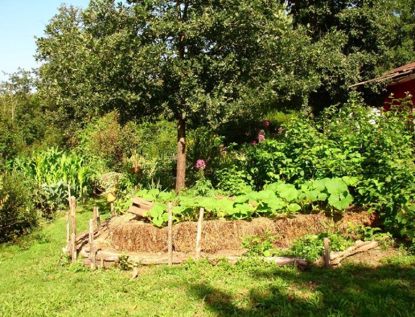 Les bienfaits du jardinage - Mjardiner