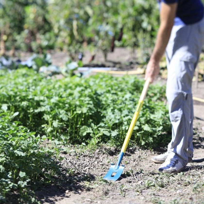 De nouveaux outils pour les professionnels du jardin et des espaces verts
