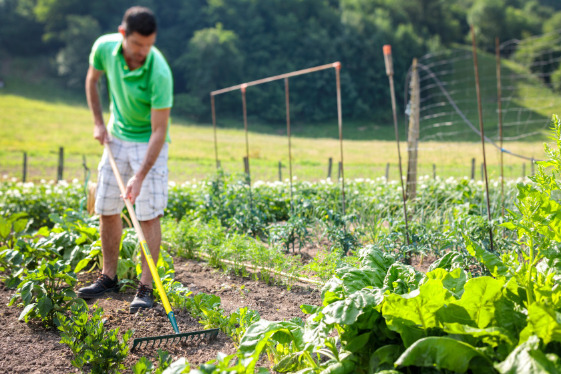 préparer et entretenir son potager grâce à Leborgne