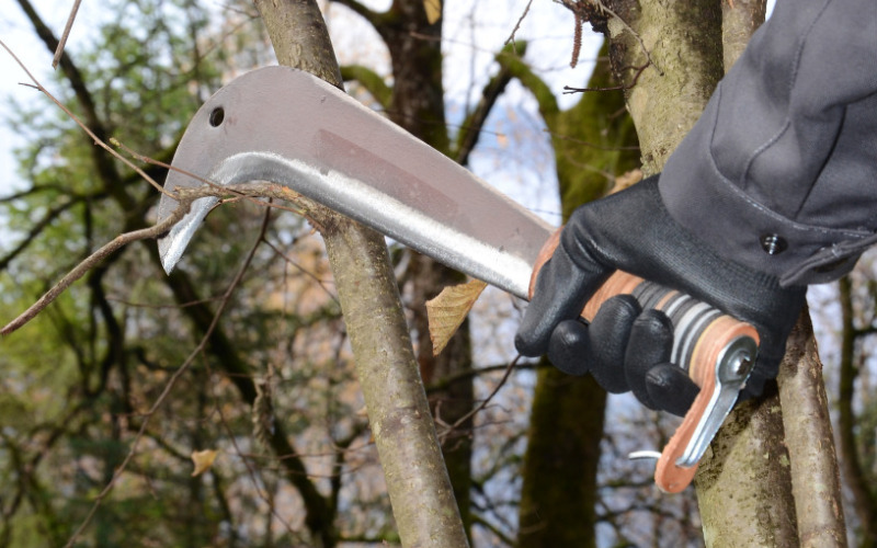 Les serpes Leborgne pour élaguer les sous-bois, dégager chemins et talus