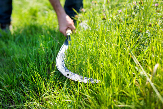 Les faucilles Leborgne pour faucher les herbes, les broussailles, les ronces