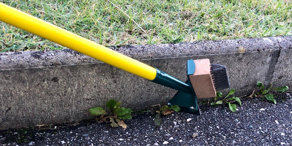 Réussir sa coupe de bois en toute sécurité Actualités – Leborgne