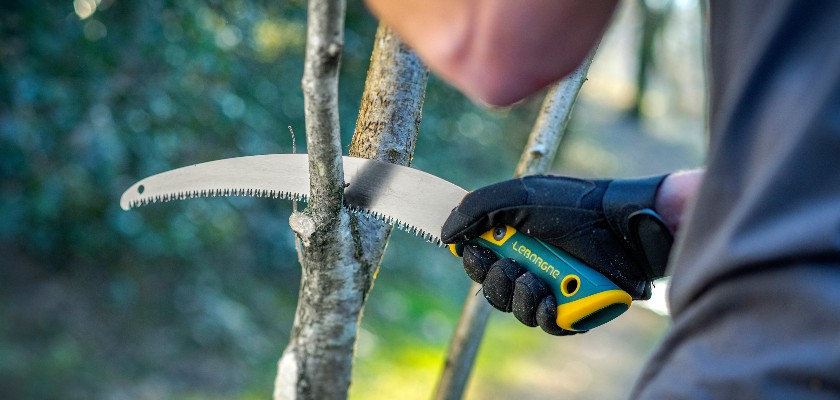 Vente de tronçonneuse d'élagage outil de coupe et entretien jardin