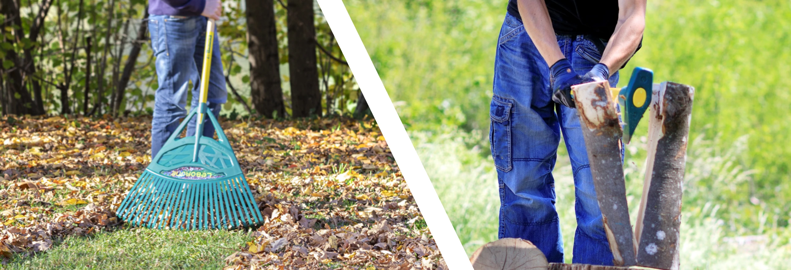 Promotion Leborgne 2026