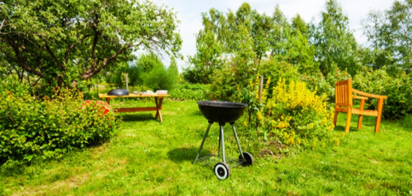 Nos conseils pour entretenir son jardin en été