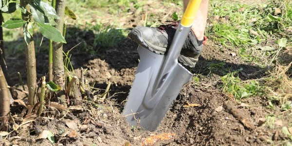 Comment bien utiliser le Louchet transplantation 33cm duopro® ?