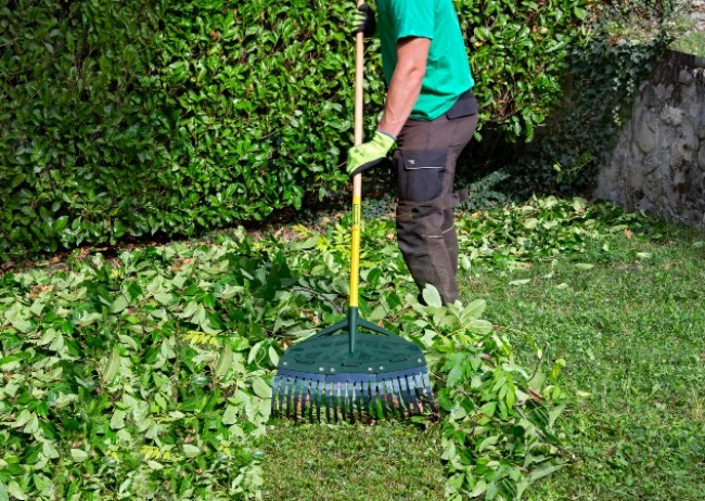 Leborgne® lance les balais XR1 et XR3 Duopro® : précision et performance au service du jardin