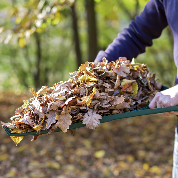 Leborgne Balai à feuilles 20 dents au meilleur prix sur