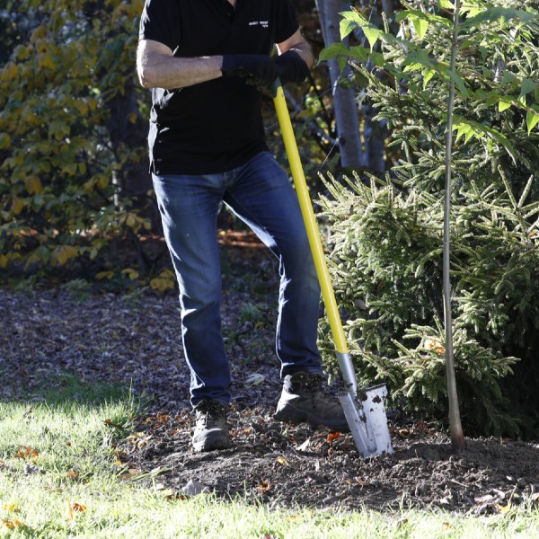 Louchet transplantation 33 cm duopro 5