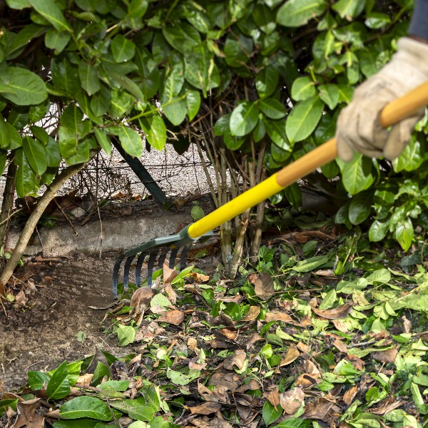 Balai à haies XR1 Duopro 3