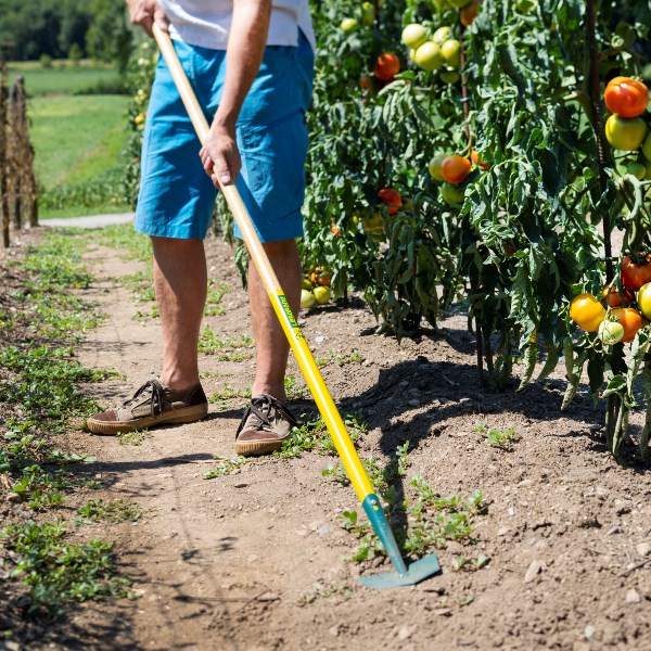 Ratissoire de jardin naturOvert 10