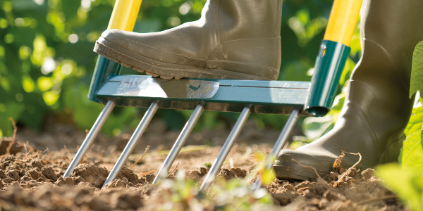 Comment prévenir les TMS du dos en préparant la terre pour son potager ?