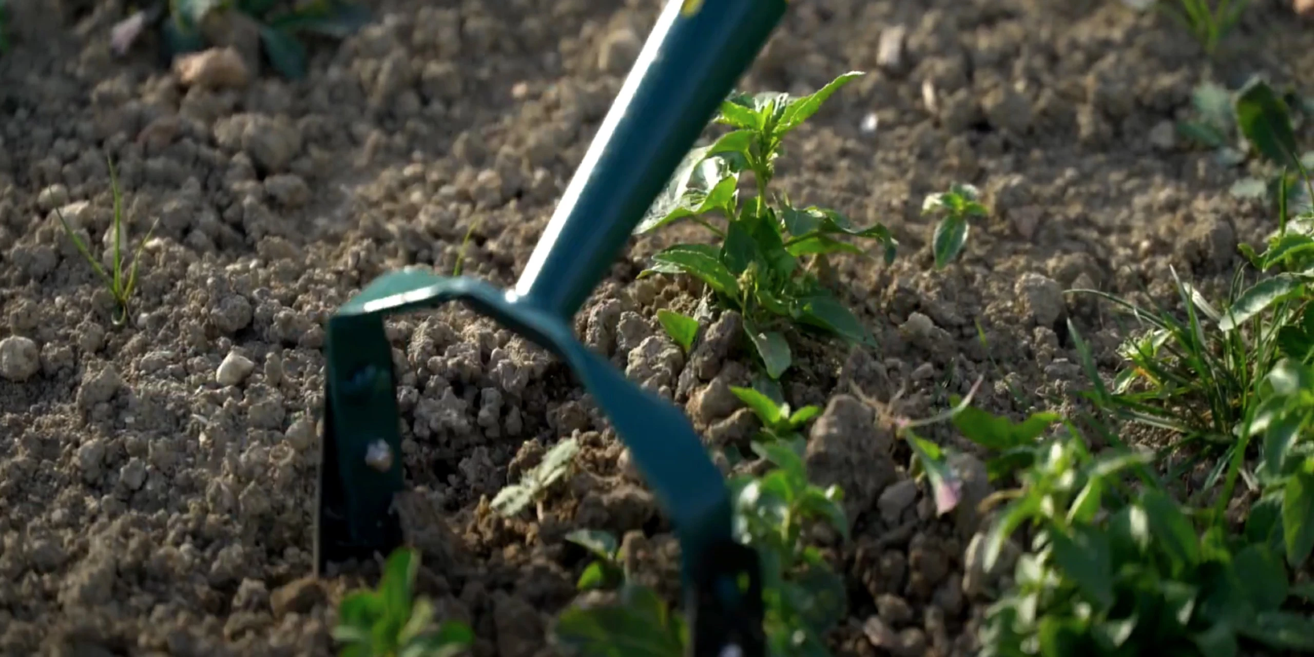 Notre engagement RSE